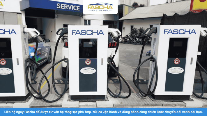 Bộ Nông nghiệp và Môi trường sẽ có tiêu chí để ngăn ngừa 'xanh hóa hình thức'
