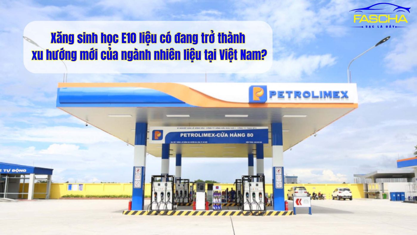 Xăng sinh học E10 và những lợi ích bất ngờ cho người dùng